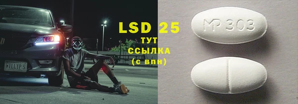 PSILOCYBIN Горно-Алтайск