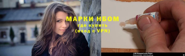 PSILOCYBIN Горно-Алтайск