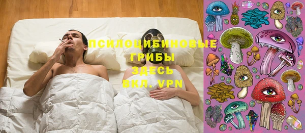 прущая мука Горняк