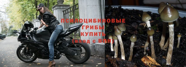 прущая мука Горняк
