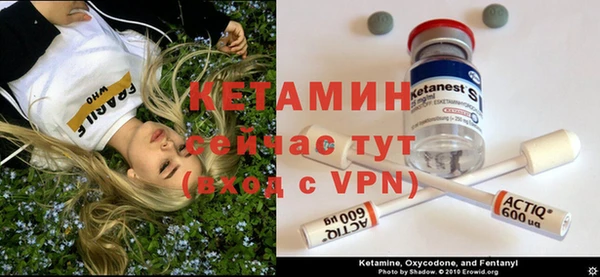 PSILOCYBIN Горно-Алтайск