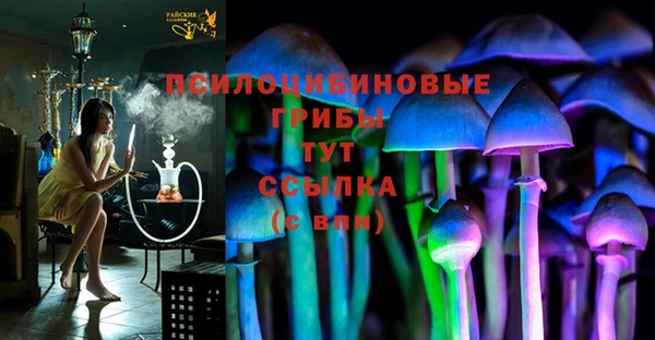 apvp Костерёво