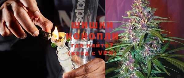 сатива Куйбышев