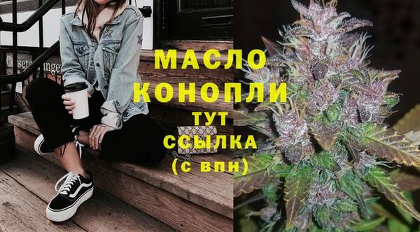 PSILOCYBIN Горно-Алтайск