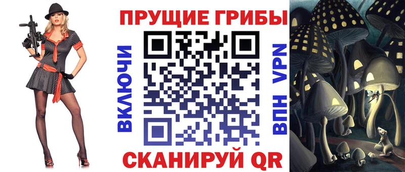 Псилоцибиновые грибы MAGIC MUSHROOMS  продажа наркотиков  Зеленогорск 